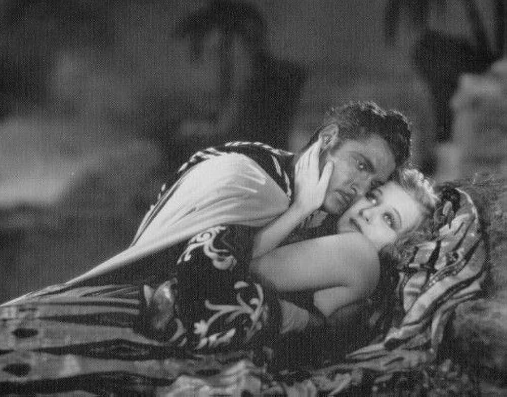 ファジルの画像