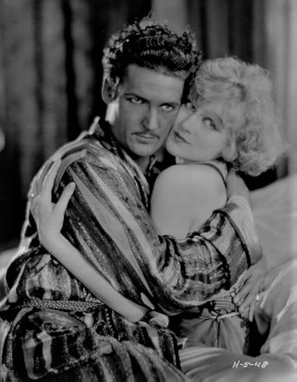 ファジルの画像