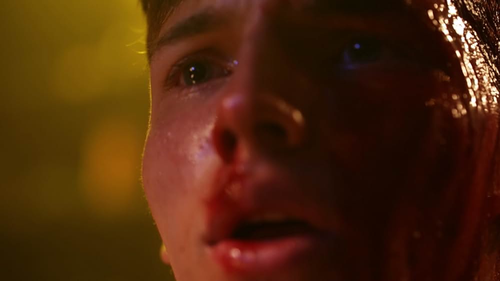 The Lesson（原題）の画像