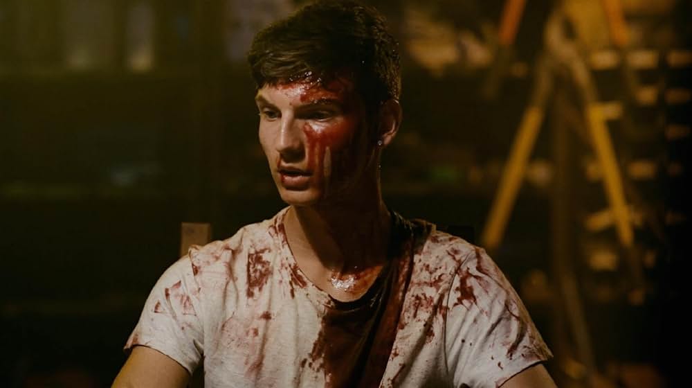 The Lesson（原題）の画像