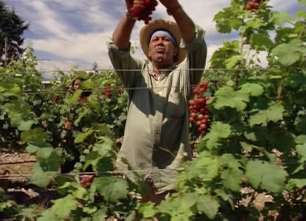 ポイズンの画像