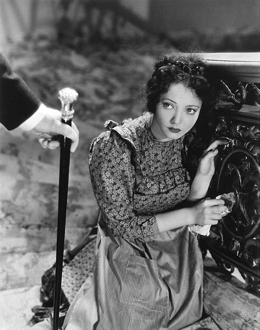 ジェニイの一生の画像