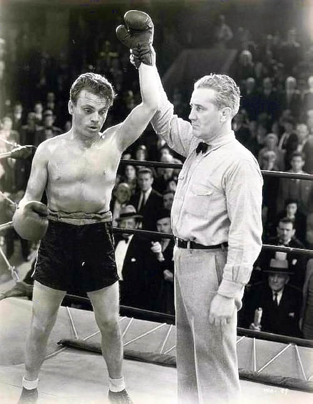 拳闘のキャグネイの画像