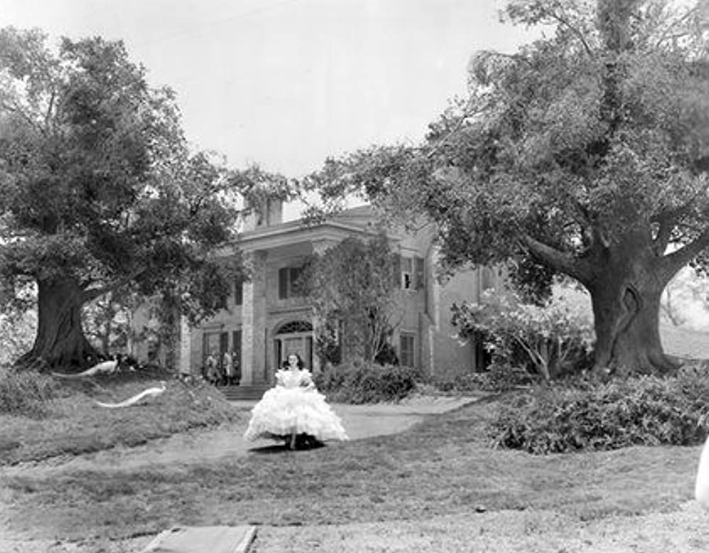 風と共に去りぬの画像