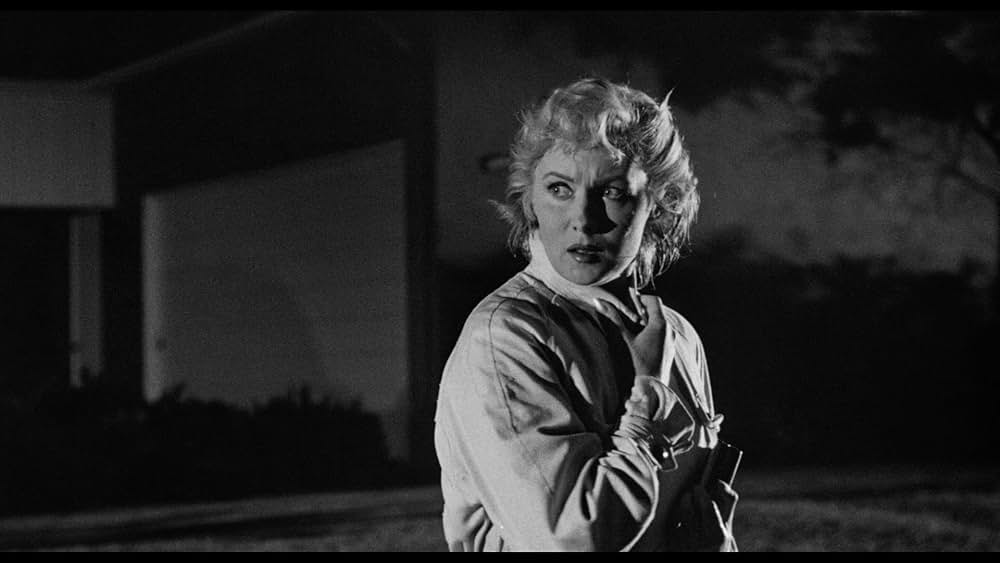 殺し屋は放たれたの画像