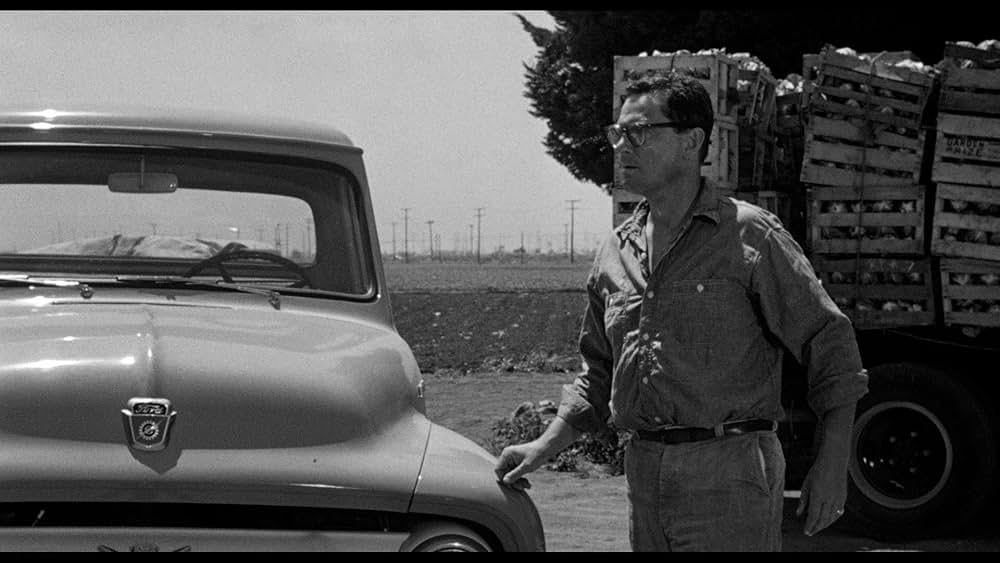 殺し屋は放たれたの画像