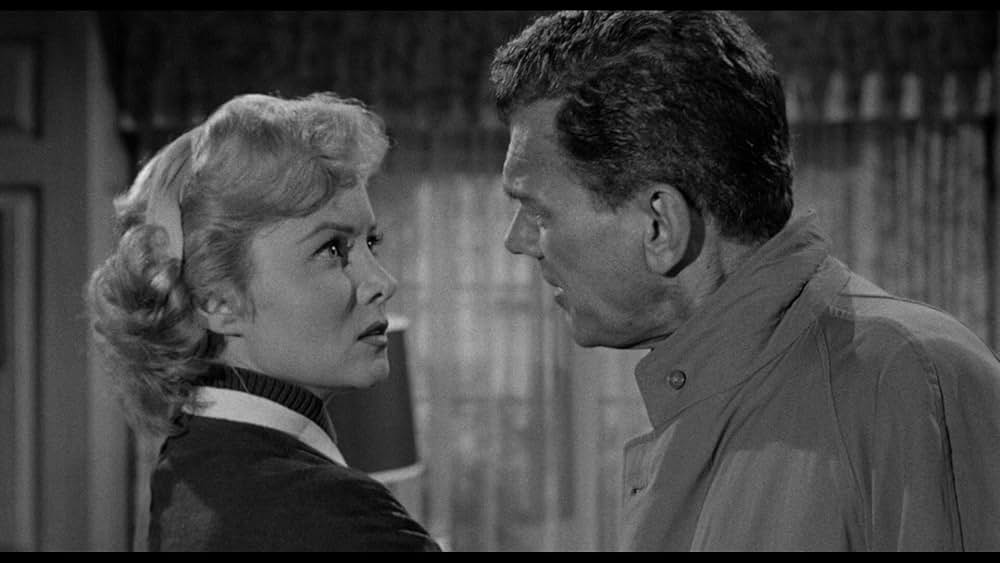 殺し屋は放たれたの画像