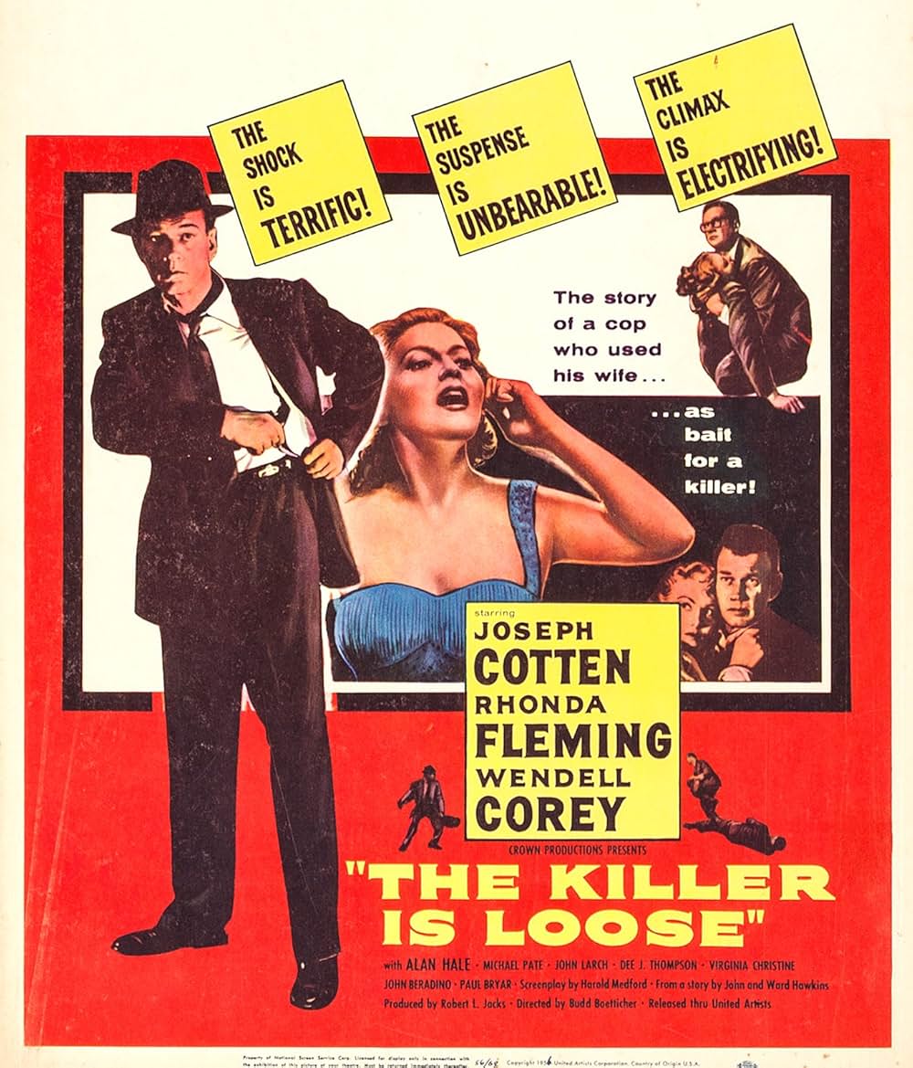 殺し屋は放たれたの画像