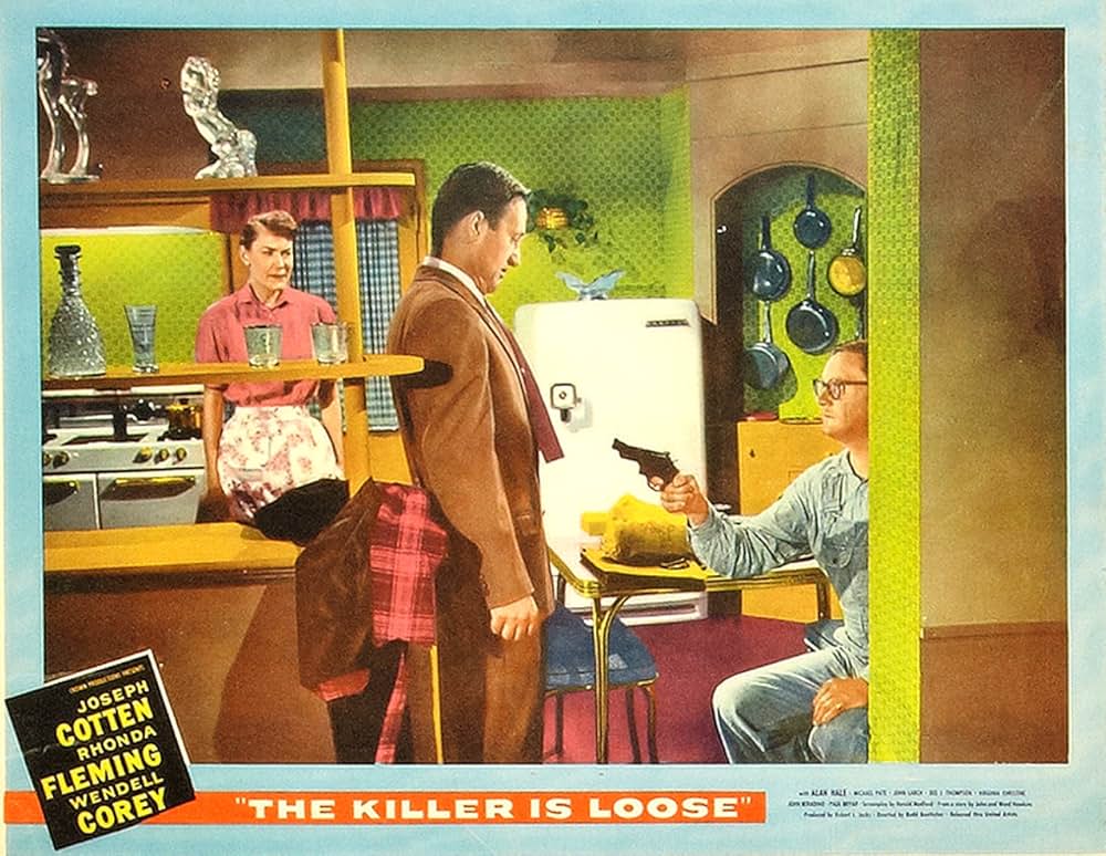 殺し屋は放たれたの画像