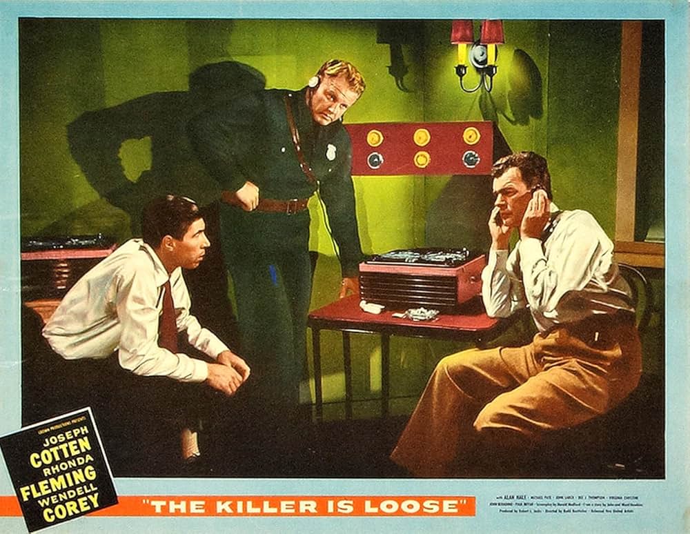 殺し屋は放たれたの画像