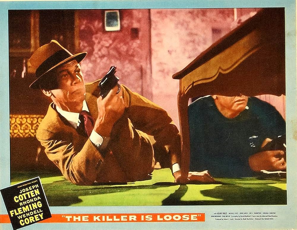 殺し屋は放たれたの画像