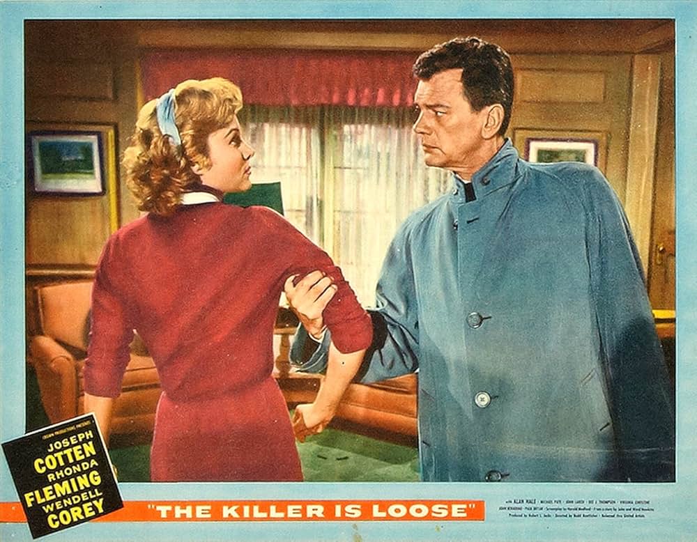 殺し屋は放たれたの画像