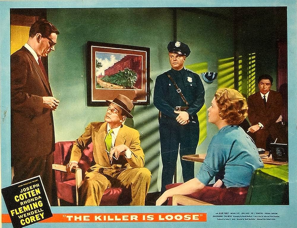 殺し屋は放たれたの画像