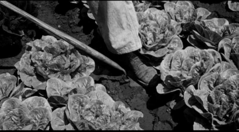 殺し屋は放たれたの画像