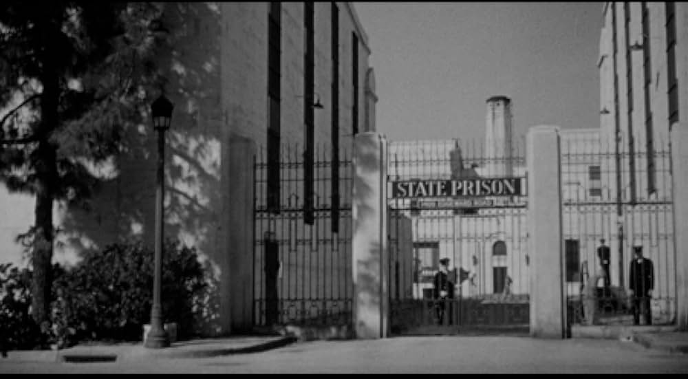 殺し屋は放たれたの画像