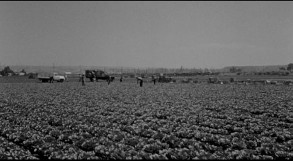 殺し屋は放たれたの画像