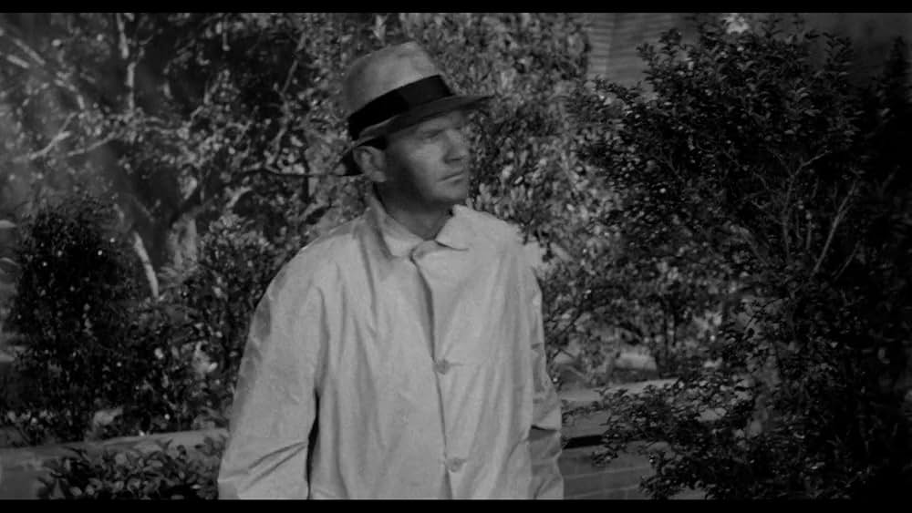 殺し屋は放たれたの画像