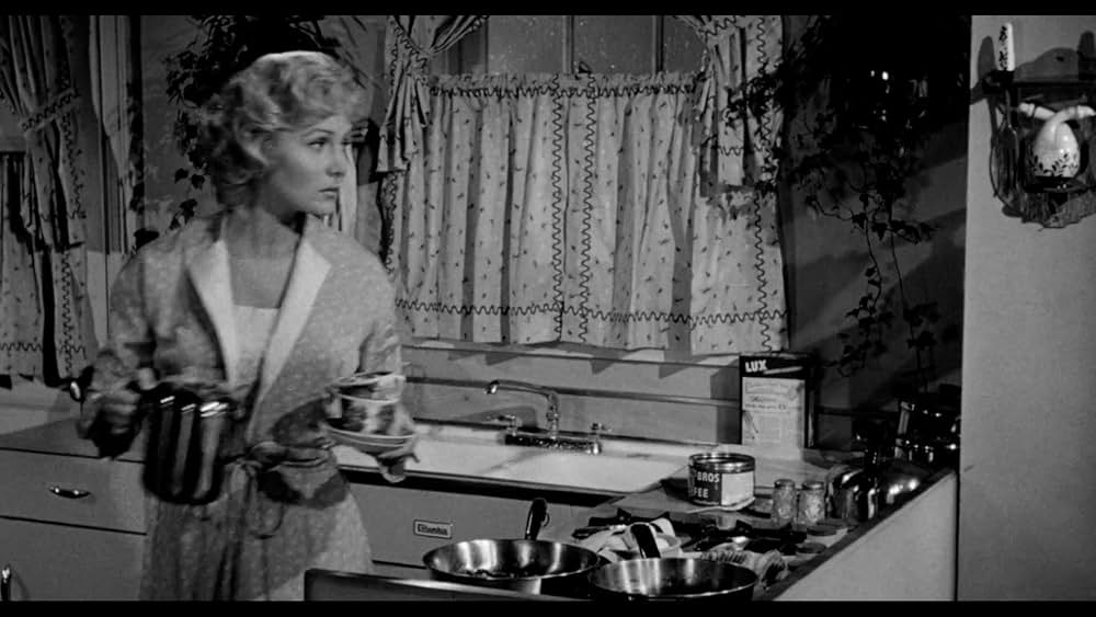 殺し屋は放たれたの画像