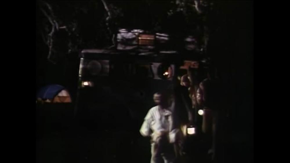 リトル・ドラゴンの画像