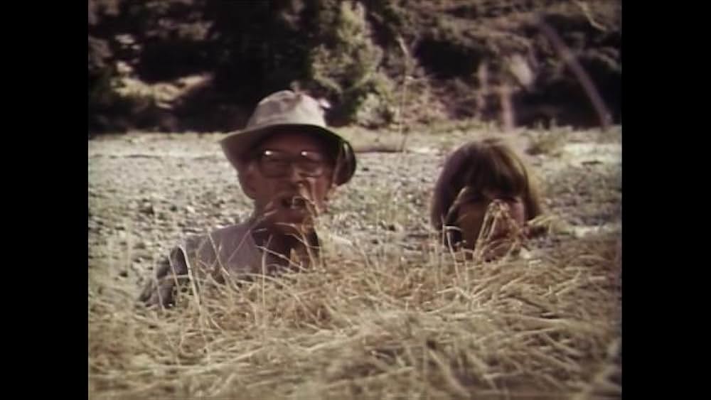 リトル・ドラゴンの画像