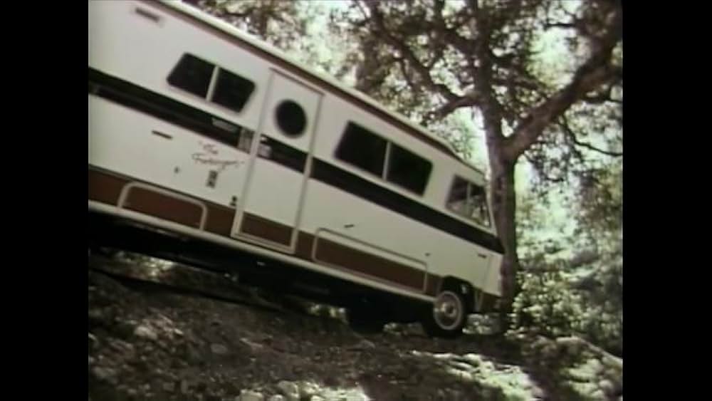 リトル・ドラゴンの画像