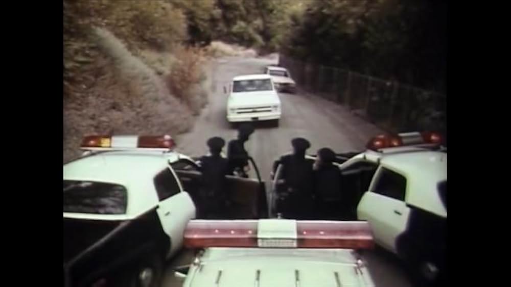 リトル・ドラゴンの画像