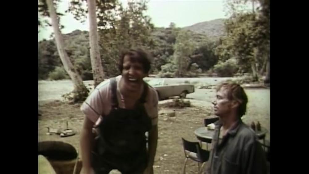 リトル・ドラゴンの画像