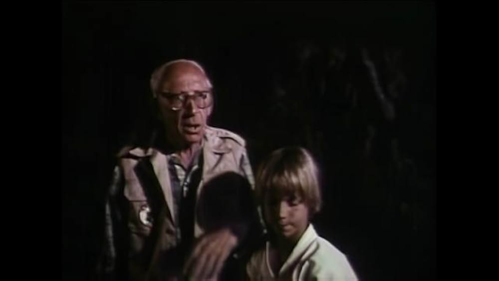 リトル・ドラゴンの画像