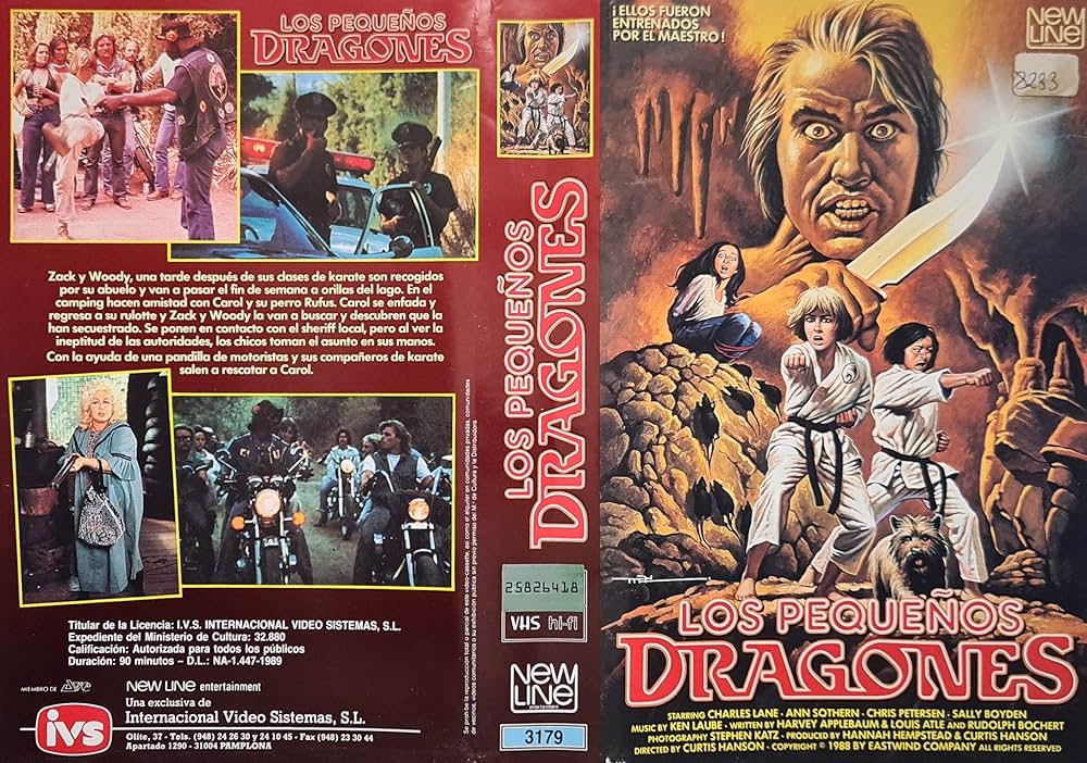 リトル・ドラゴンの画像