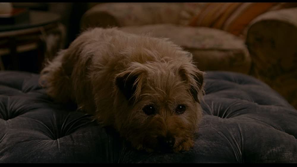 ホリデイの画像