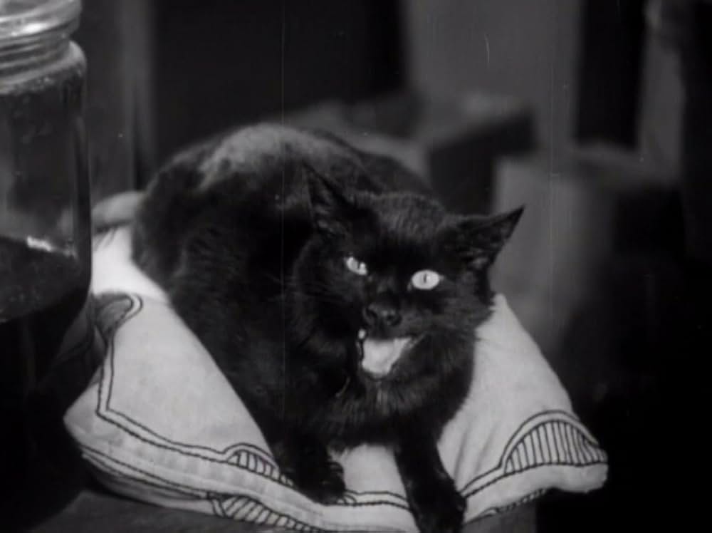 マニアックの画像