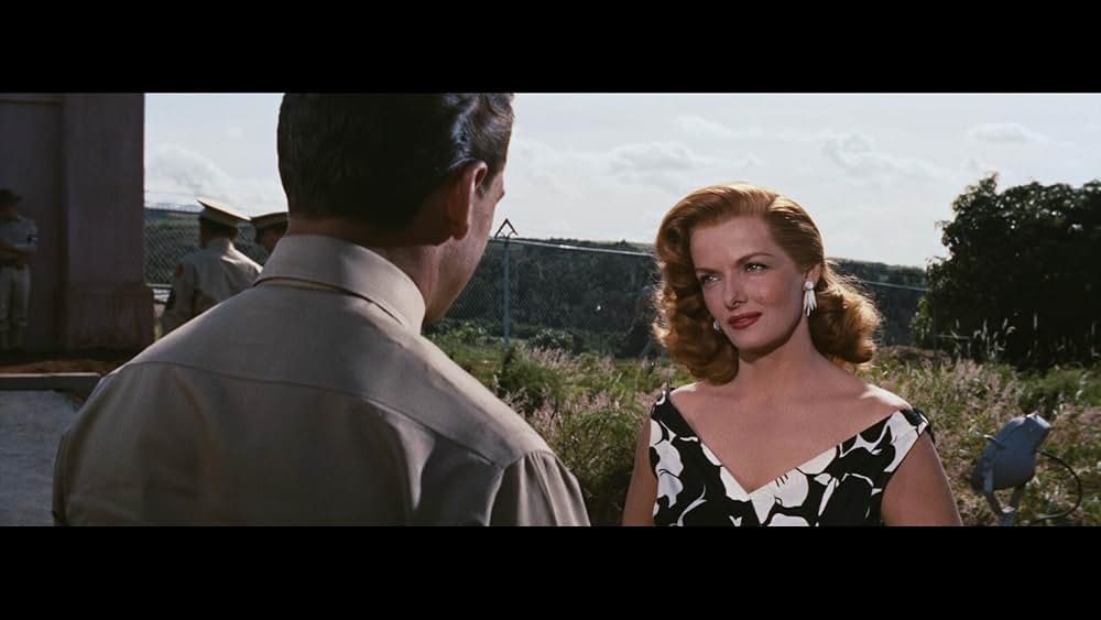 流転の女の画像