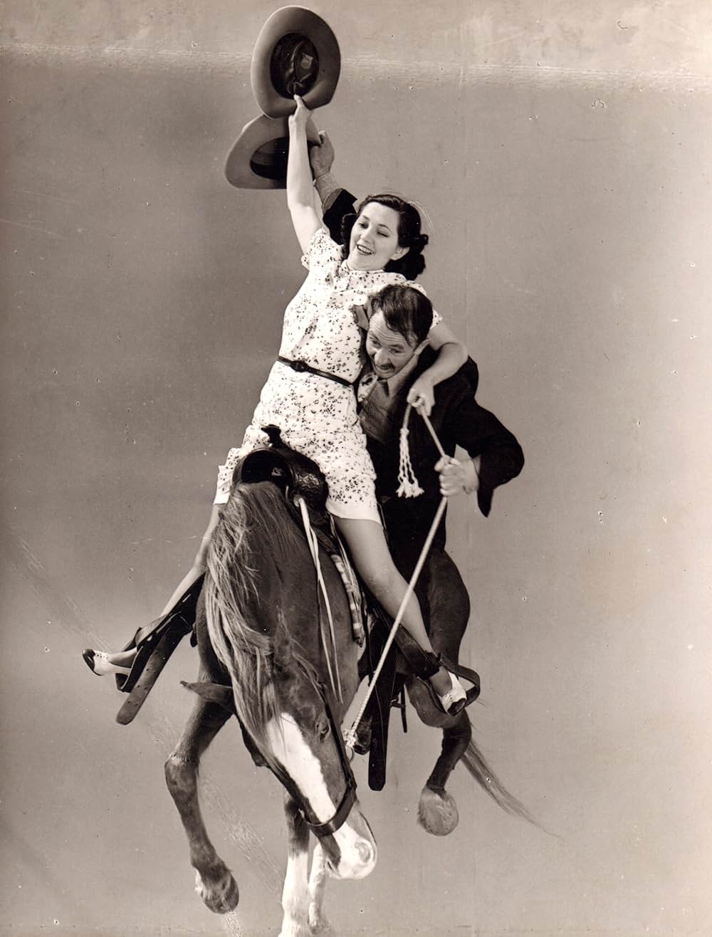 牧童と貴婦人の画像