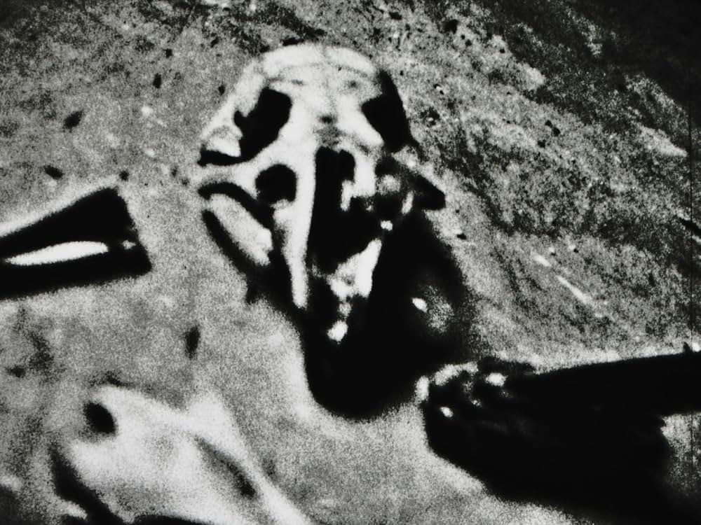 Flesh of the Void（原題）の写真