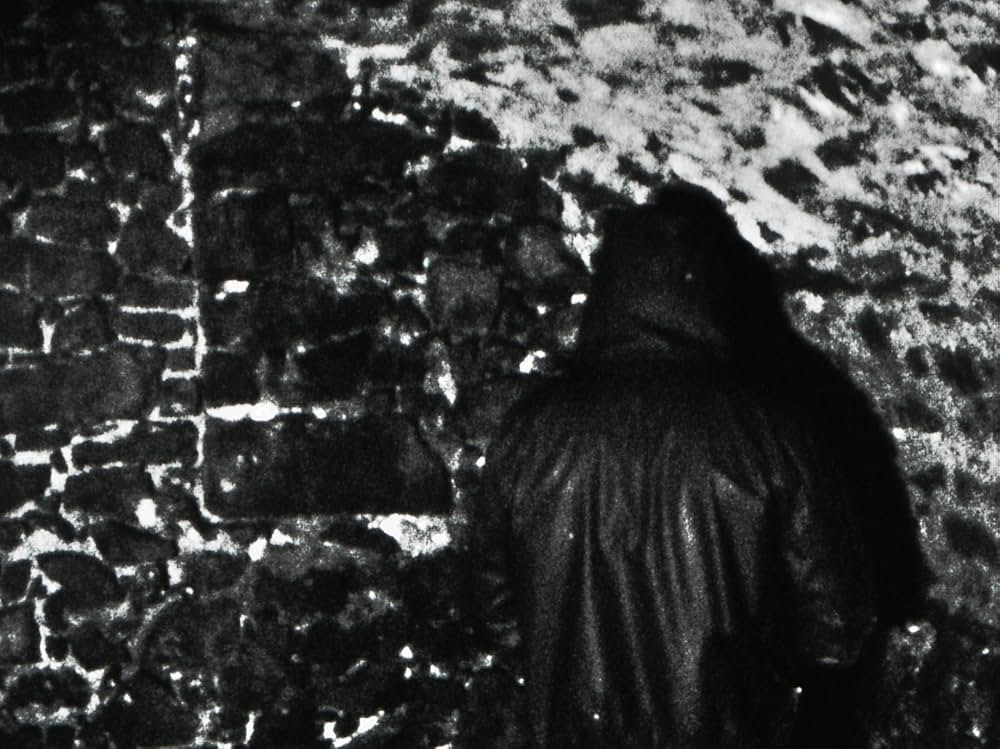 Flesh of the Void（原題）の画像