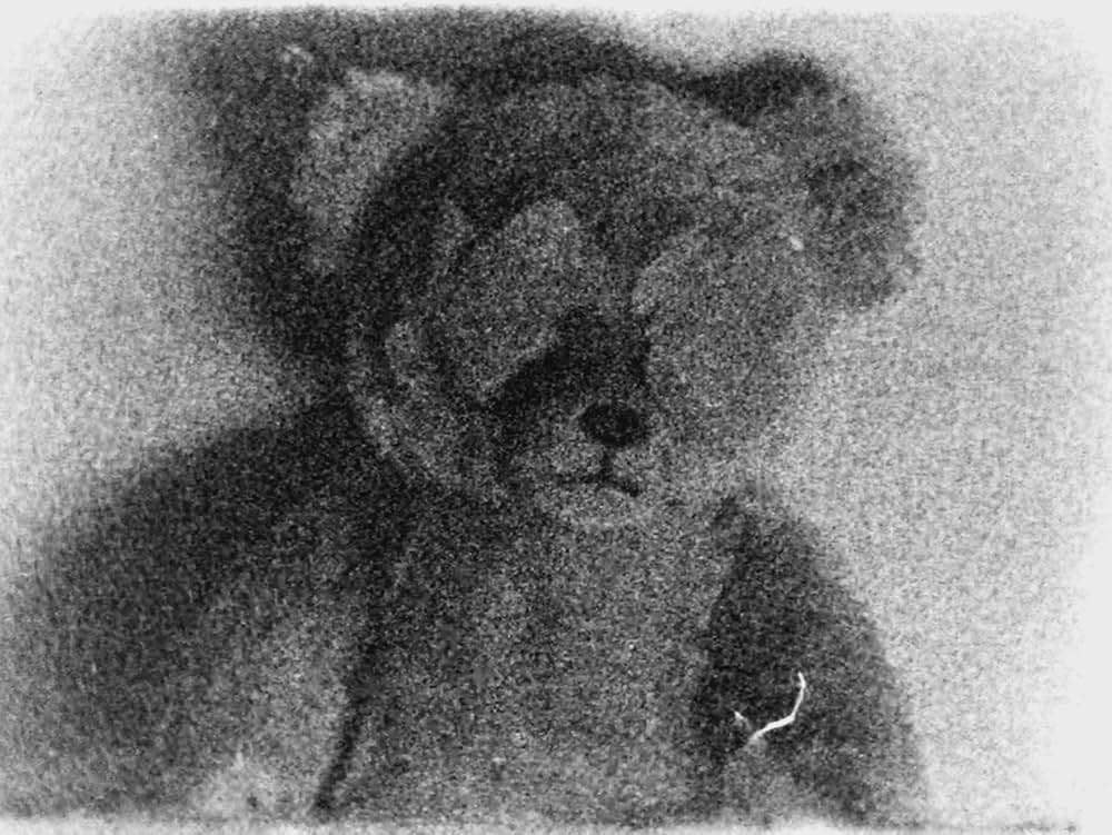 Flesh of the Void（原題）の画像