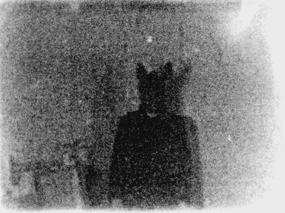 Flesh of the Void（原題）の画像