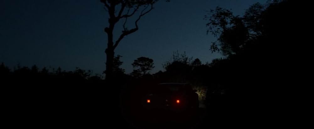 Oddity（原題）の画像