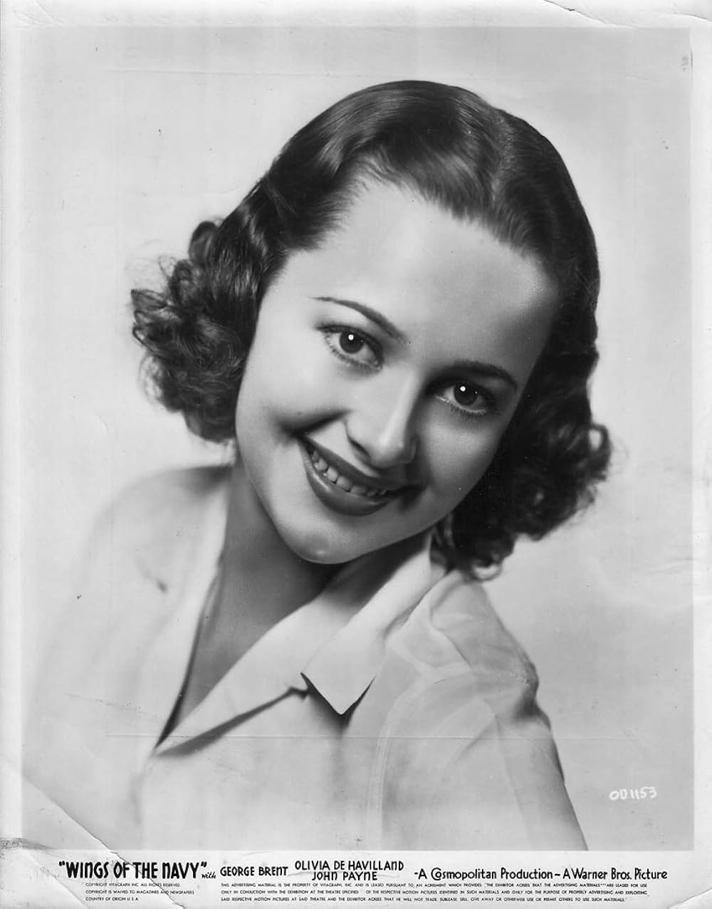 大平洋の翼の画像