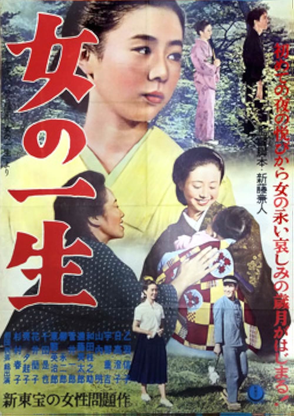 女の一生の画像