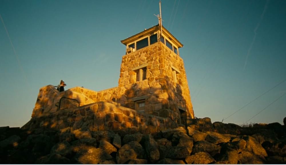 Dandelion（原題）の写真