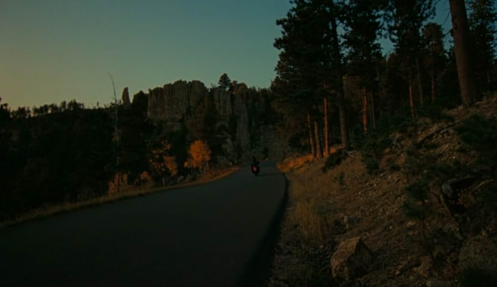 Dandelion（原題）の画像