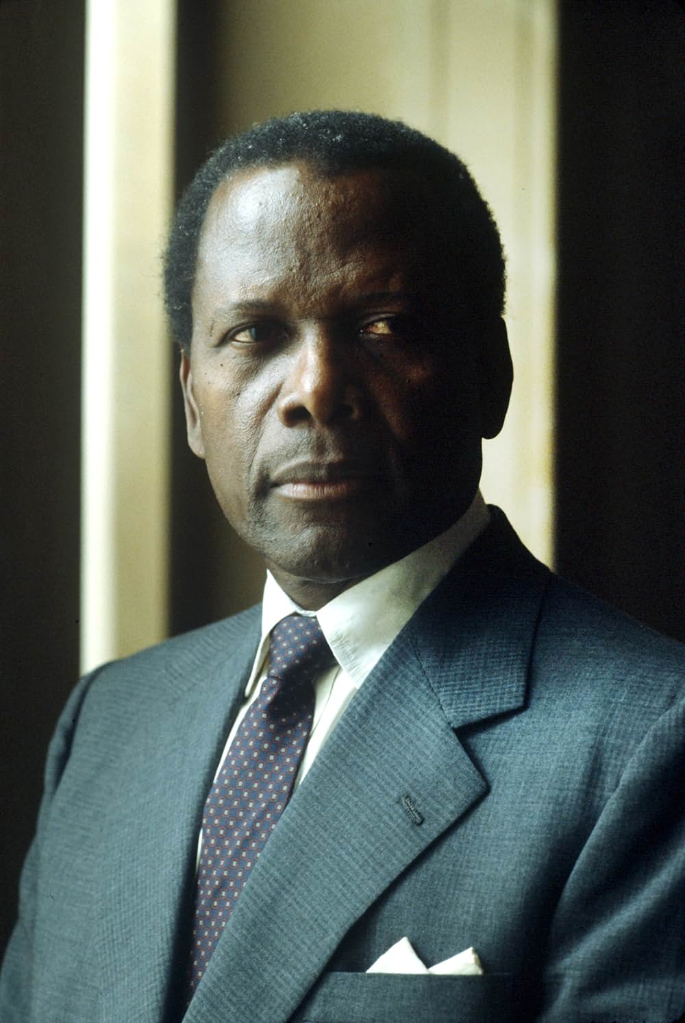 裁かれた壁 アメリカ・平等への闘いの画像