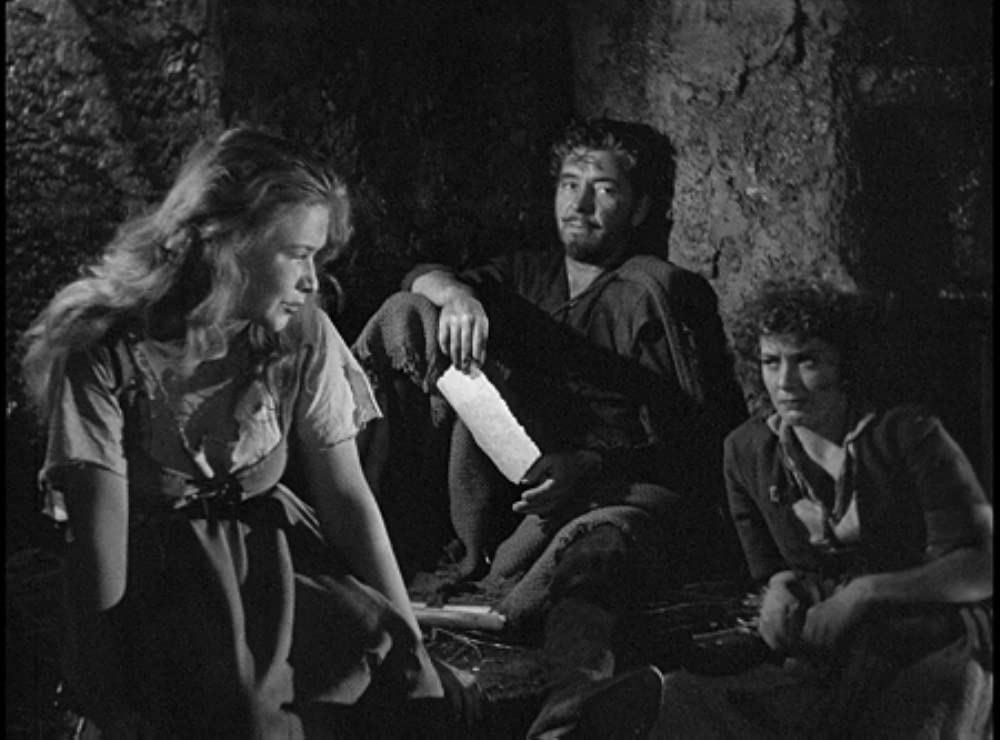 放浪の王者の画像