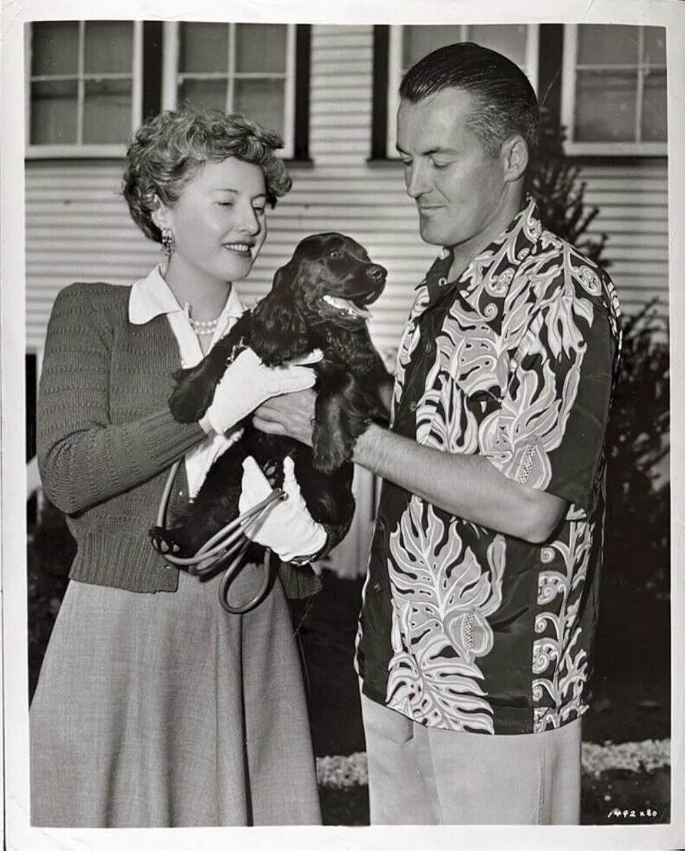 スピード王の画像