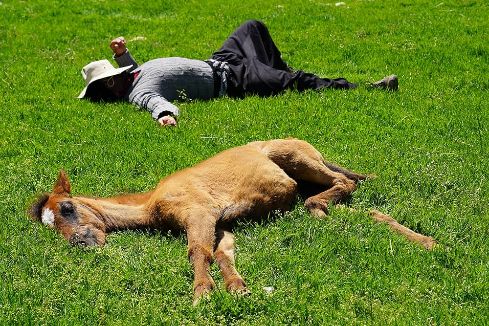 メークアップ・アーティストの画像