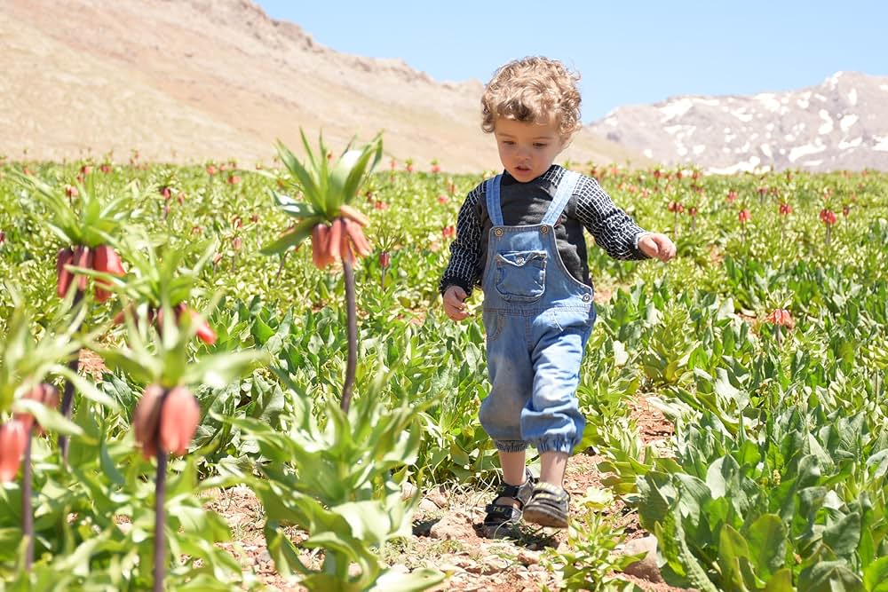 メークアップ・アーティストの画像