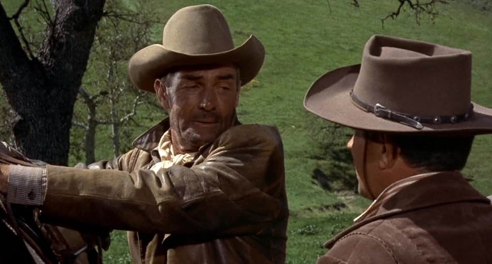 ディシジョン・アット・サンダウンの画像