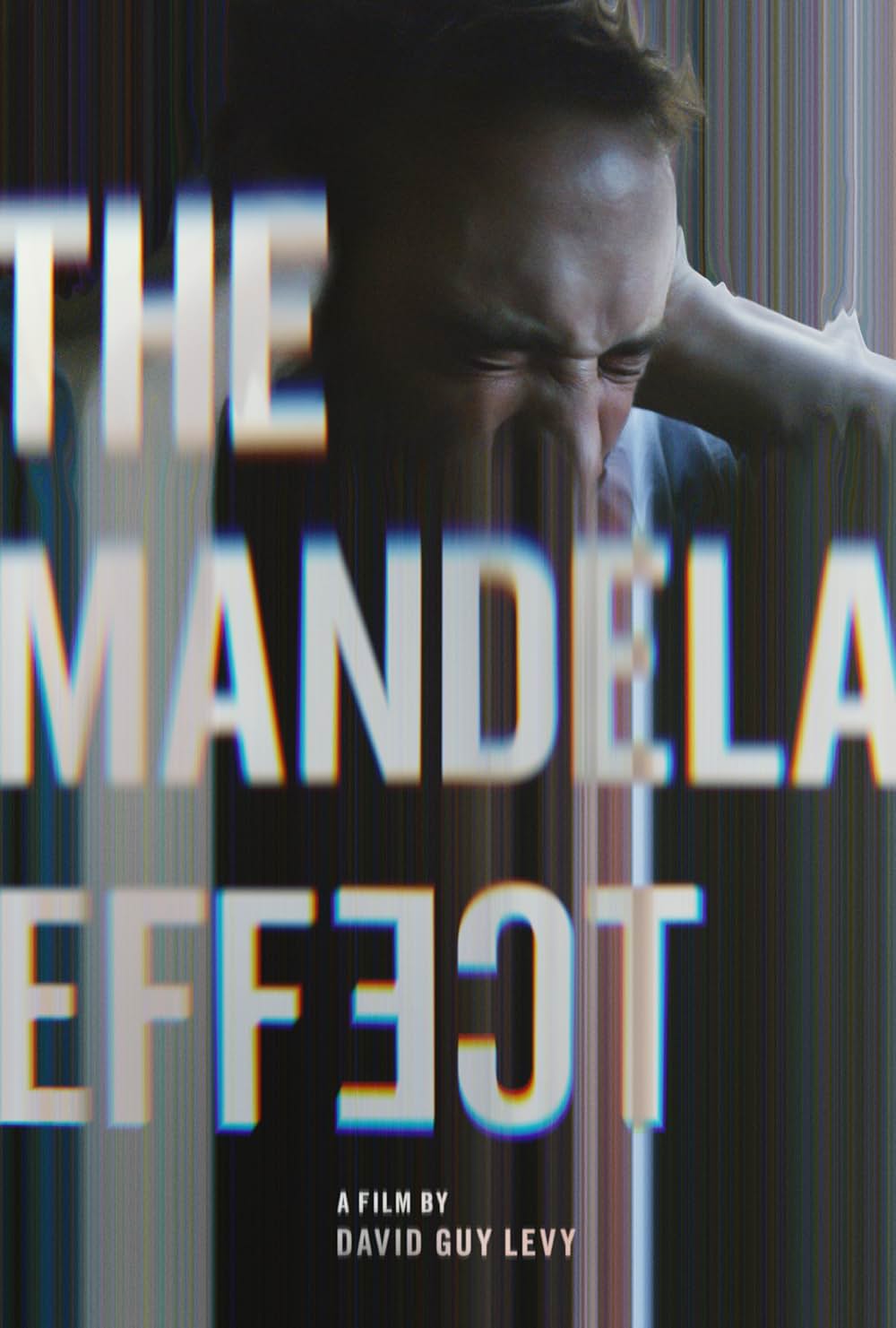 「The Mandela Effect（原題）」の画像