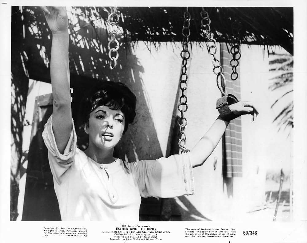 ペルシャ大王の画像